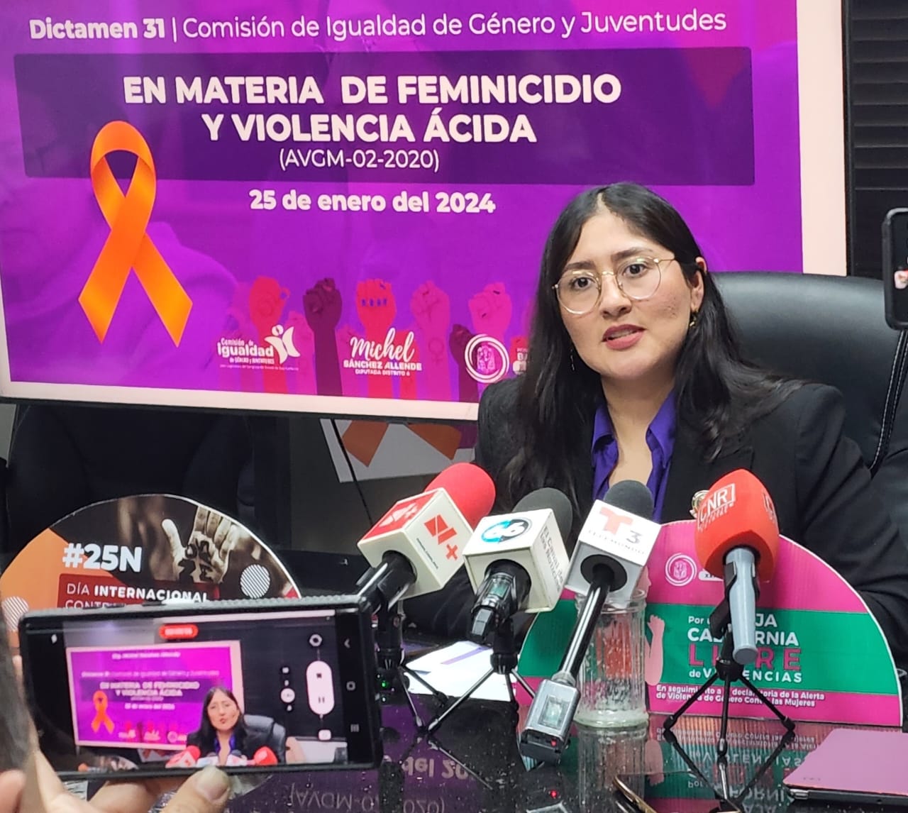 Aprueba Congreso BC paquete de reformas del tipo penal del feminicidio