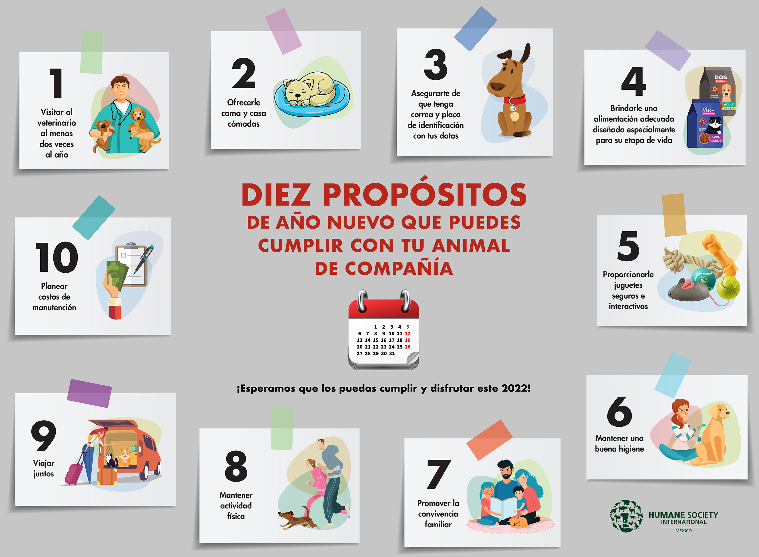 Diez Propósitos De Año Nuevo Que Puedes Cumplir Con Tu Mascota – En